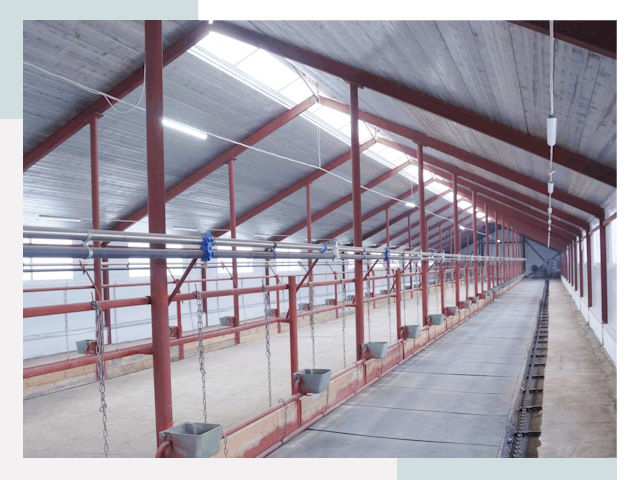 Строительство коровников в Нефтекамске от 616 руб.