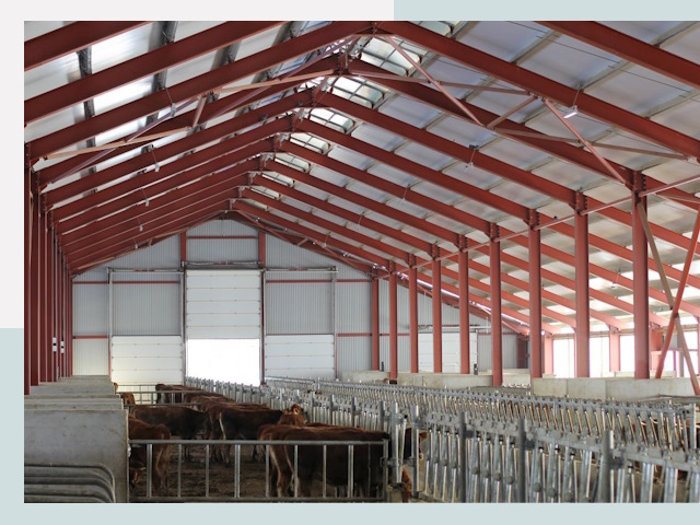 Строительство коровников в Нефтекамске